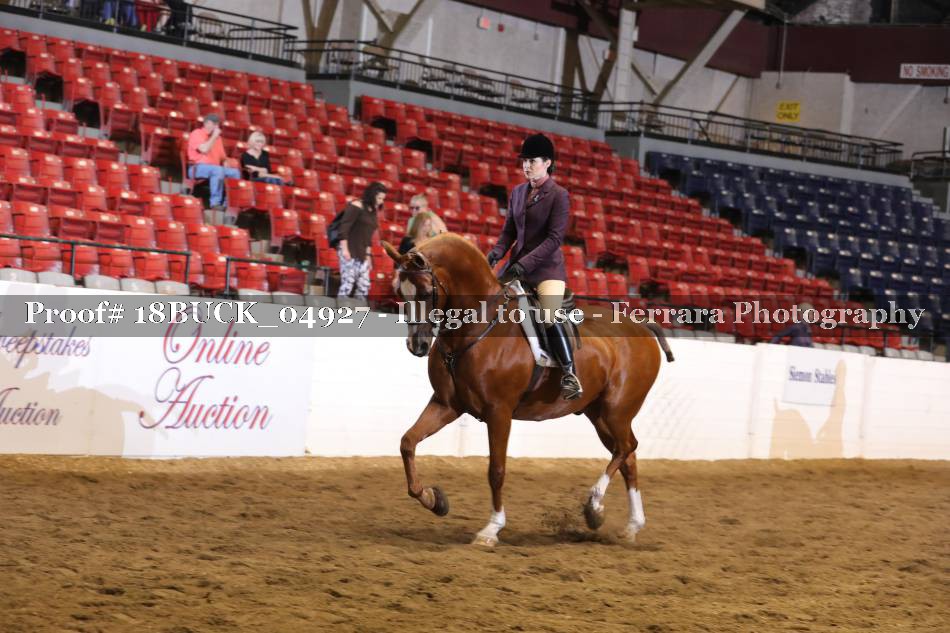 Proof 18BUCK_04927