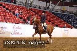 18BUCK_04927 proof