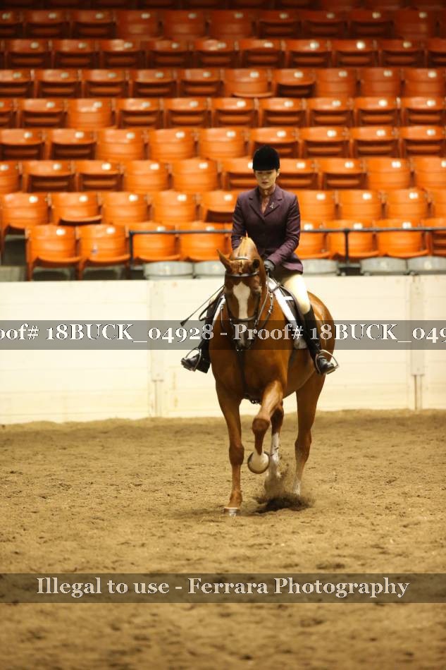 Proof 18BUCK_04928