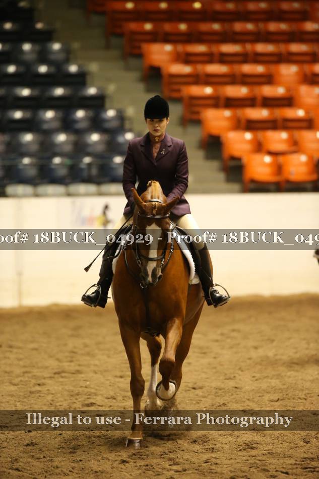 Proof 18BUCK_04929