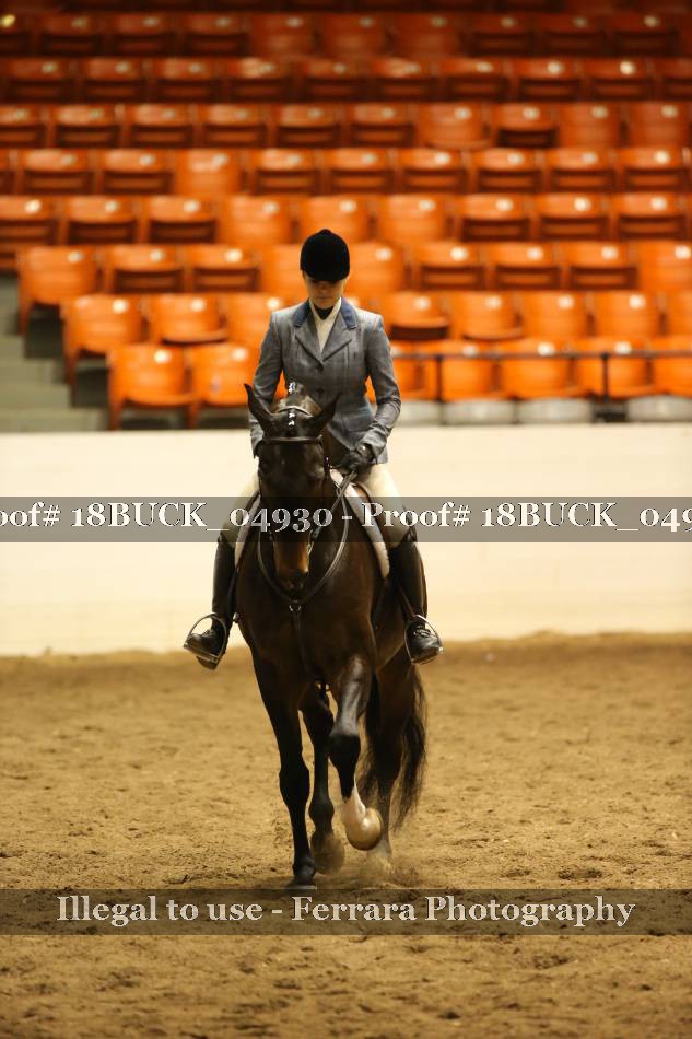 Proof 18BUCK_04930