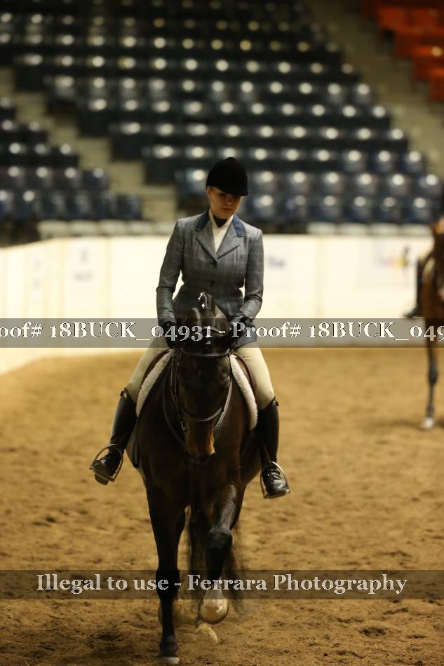 Proof 18BUCK_04931