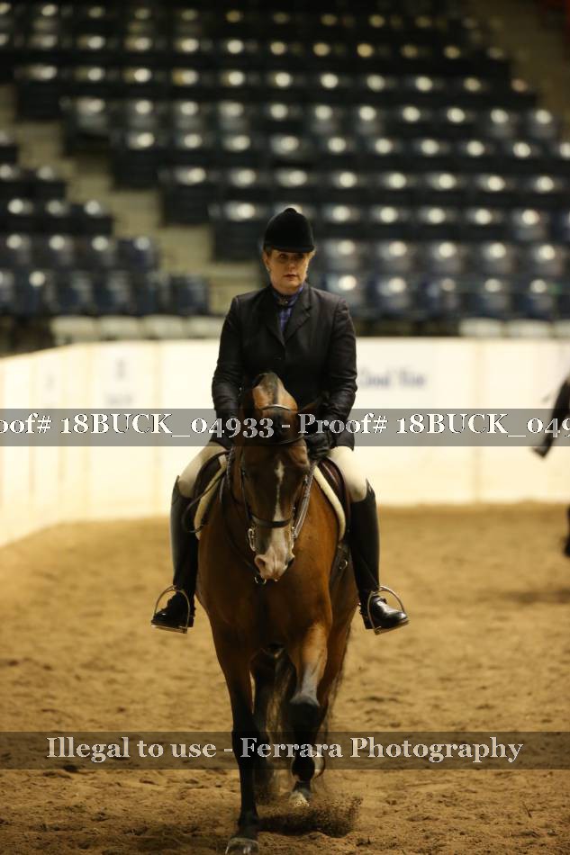 Proof 18BUCK_04933