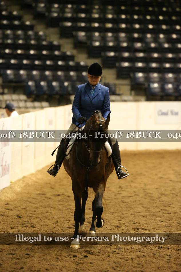 Proof 18BUCK_04934