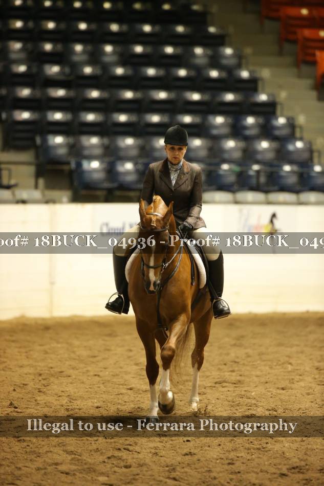 Proof 18BUCK_04936