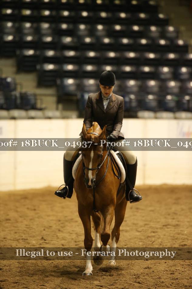 Proof 18BUCK_04937