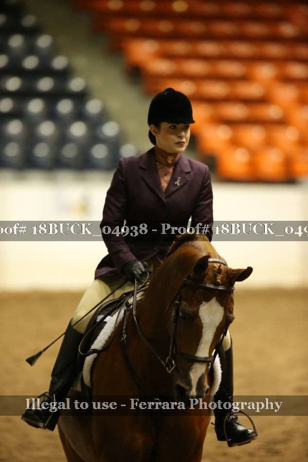 Proof 18BUCK_04938