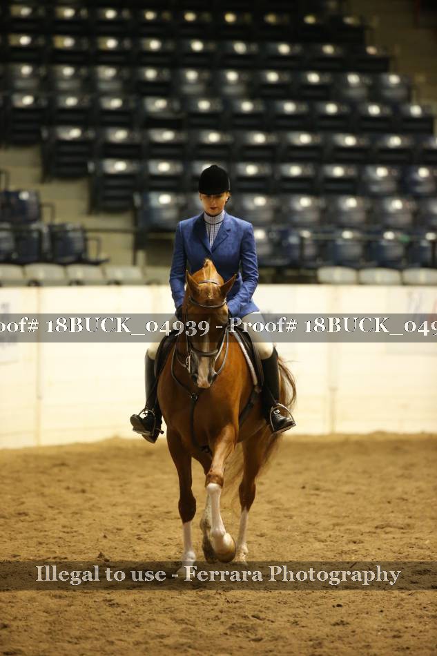 Proof 18BUCK_04939
