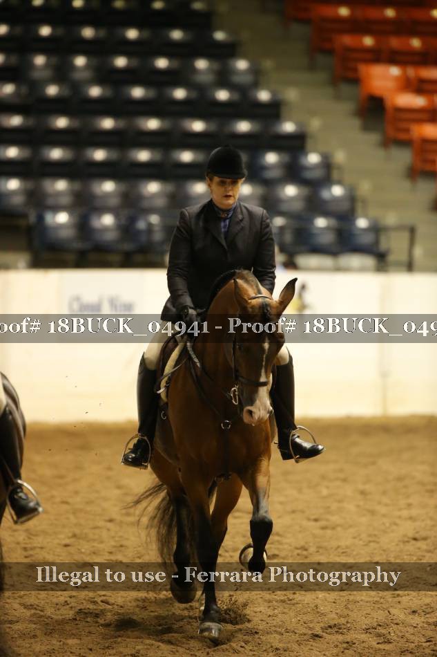 Proof 18BUCK_04941