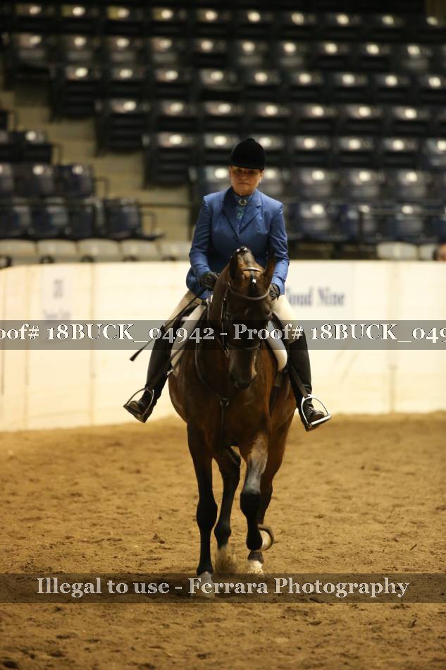Proof 18BUCK_04942