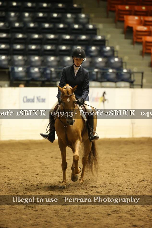 Proof 18BUCK_04943