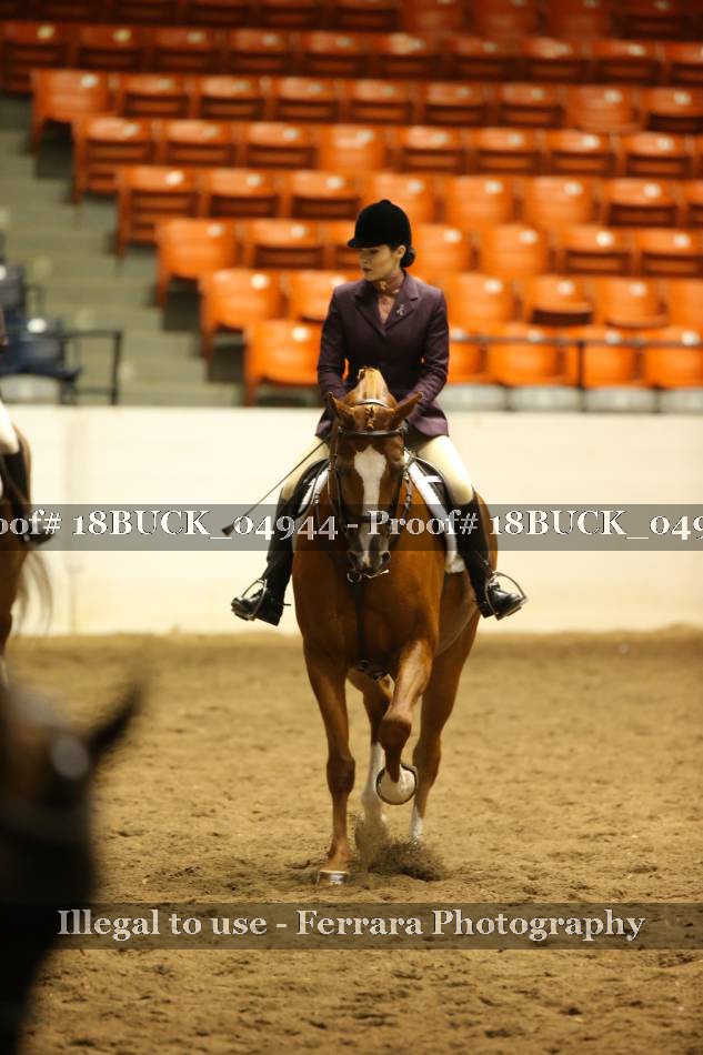 Proof 18BUCK_04944