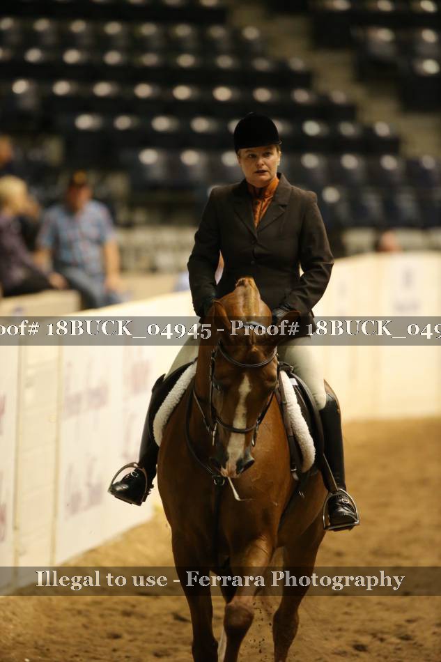 Proof 18BUCK_04945