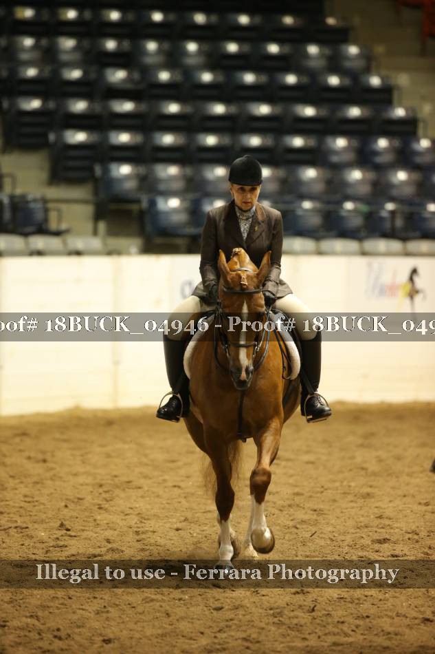 Proof 18BUCK_04946