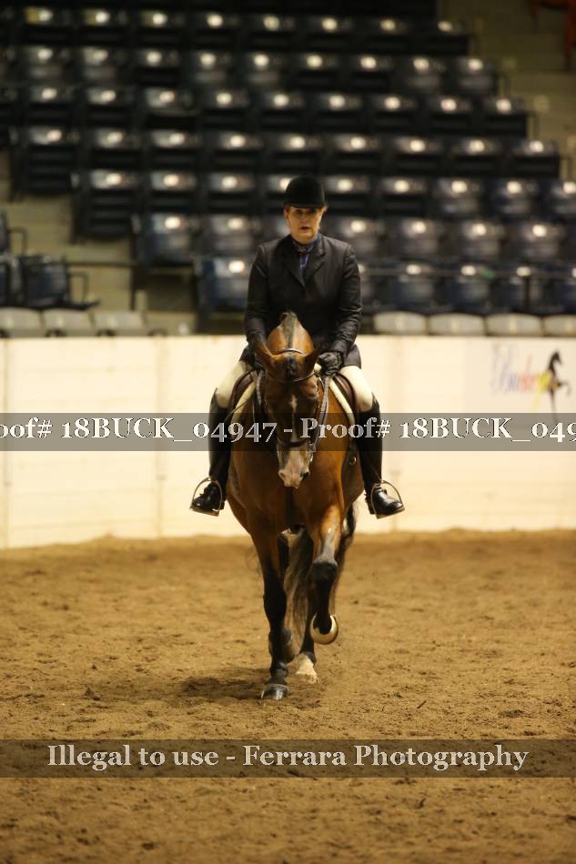 Proof 18BUCK_04947