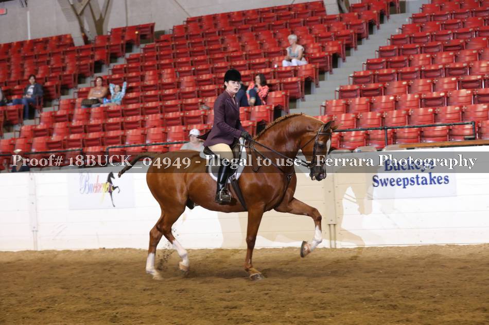 Proof 18BUCK_04949