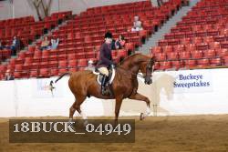 18BUCK_04949 proof