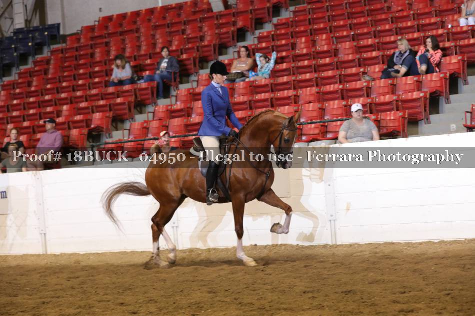 Proof 18BUCK_04950