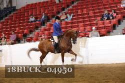 18BUCK_04950 proof