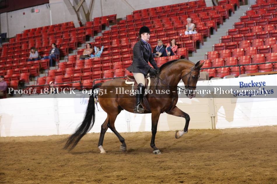 Proof 18BUCK_04951