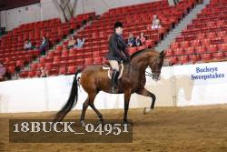 18BUCK_04951 proof