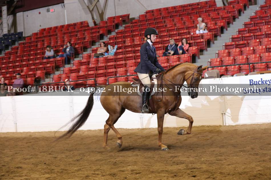 Proof 18BUCK_04952