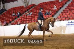 18BUCK_04952 proof