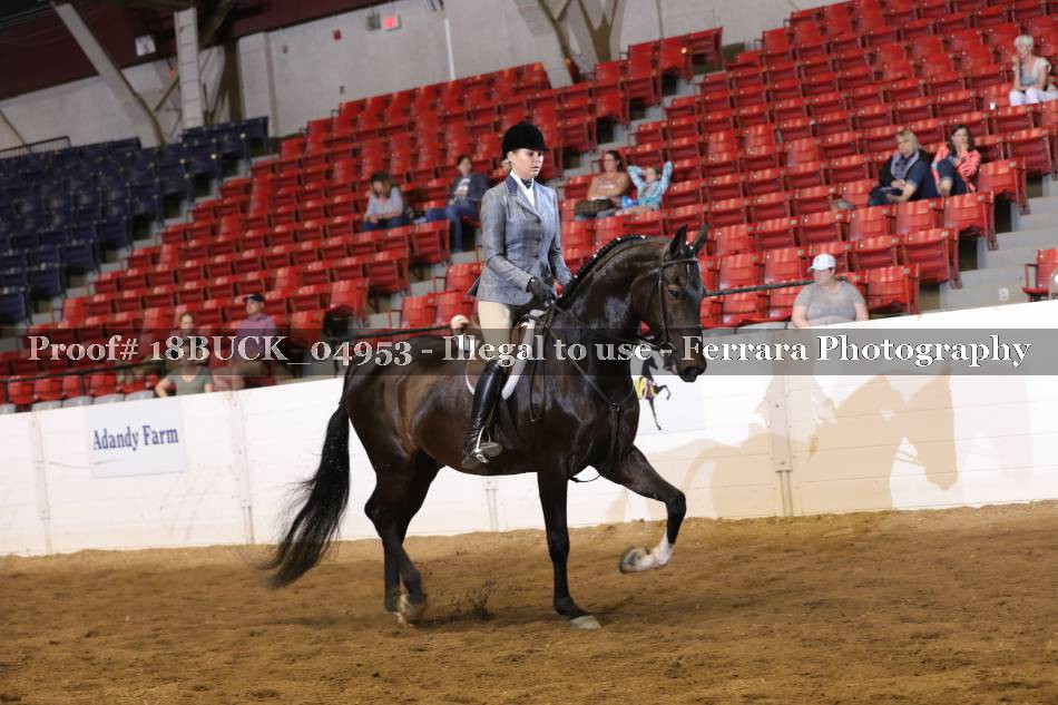 Proof 18BUCK_04953