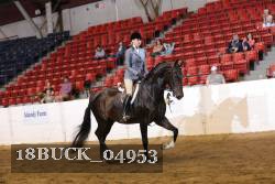 18BUCK_04953 proof