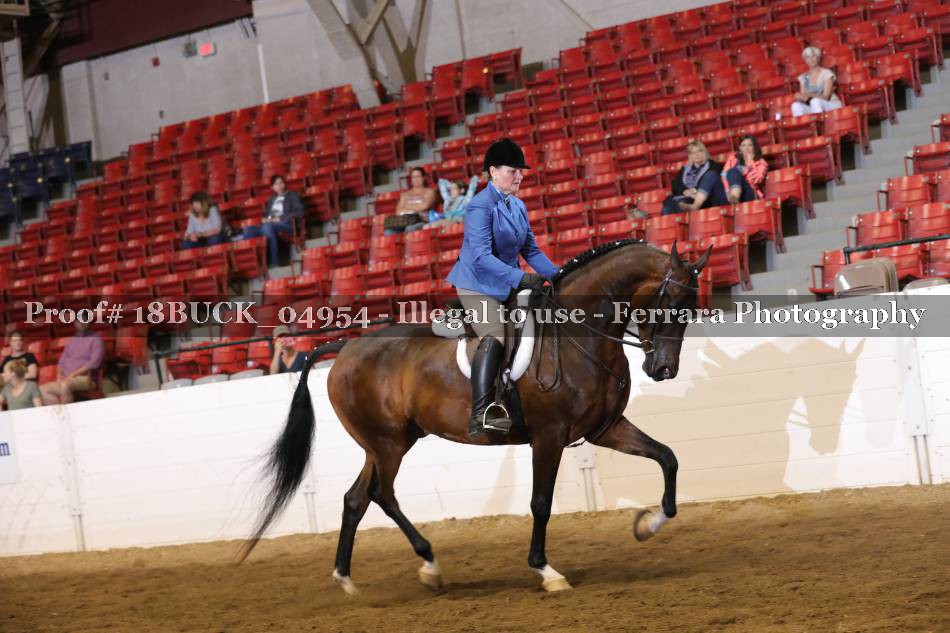 Proof 18BUCK_04954