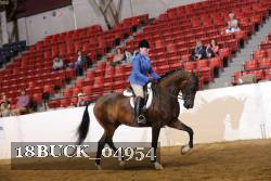 18BUCK_04954 proof