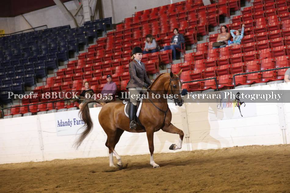 Proof 18BUCK_04955
