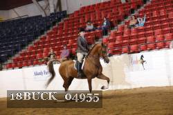 18BUCK_04955 proof