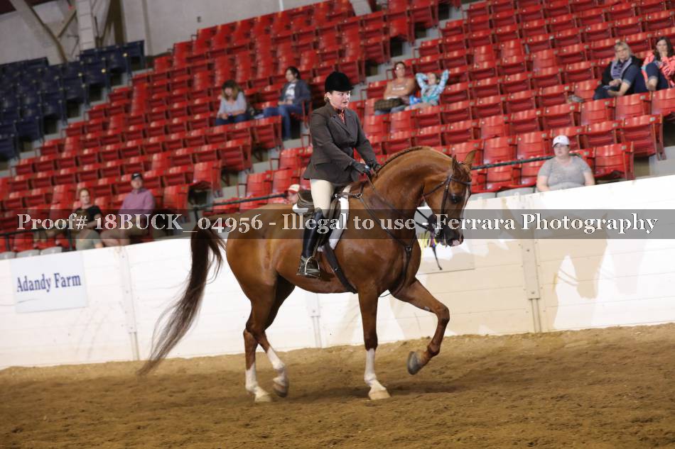 Proof 18BUCK_04956