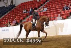 18BUCK_04956 proof
