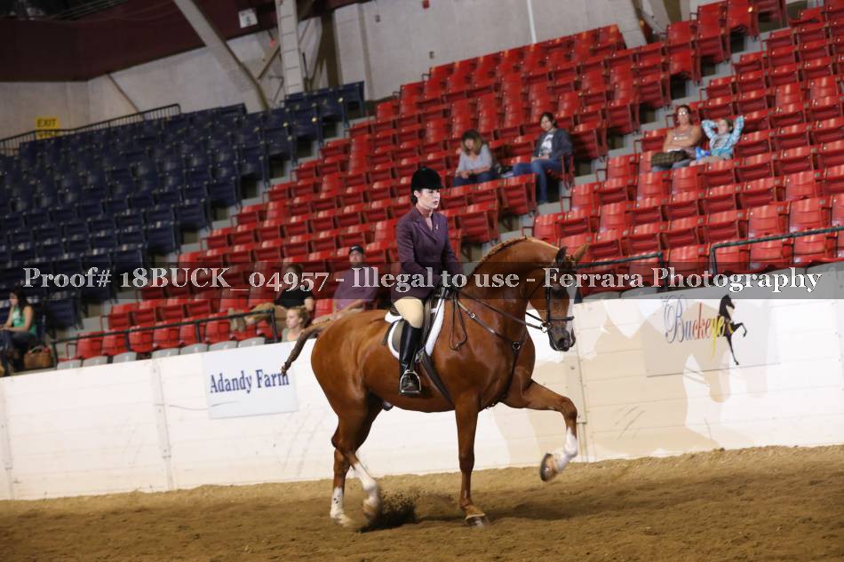 Proof 18BUCK_04957