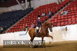 18BUCK_04957 proof