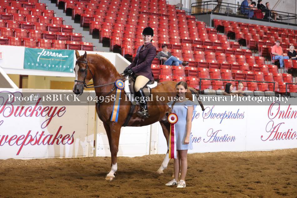 Proof 18BUCK_04958