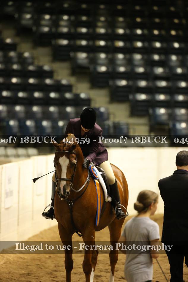 Proof 18BUCK_04959