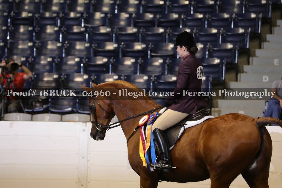 Proof 18BUCK_04960