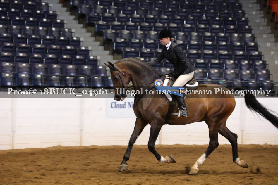 Proof 18BUCK_04961