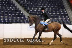 18BUCK_04961 proof