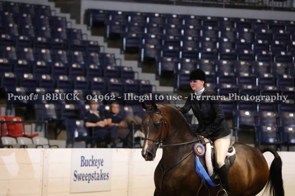 Proof 18BUCK_04962