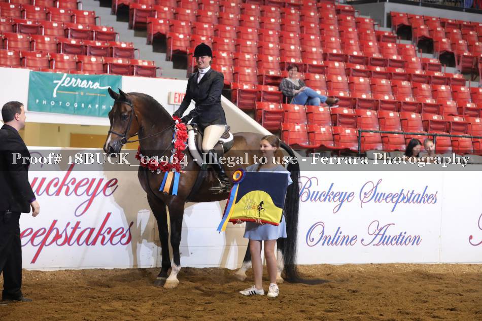 Proof 18BUCK_04964