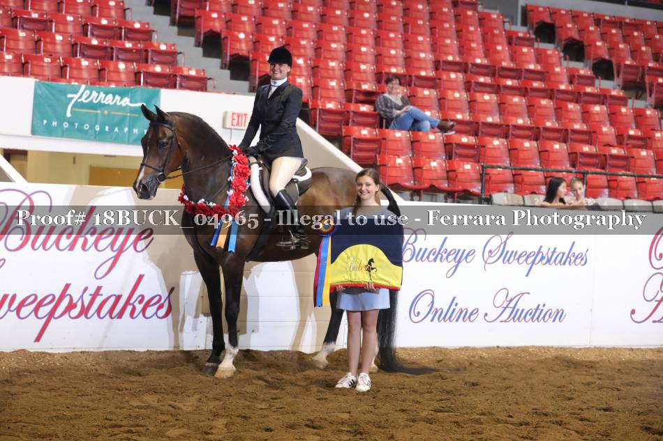 Proof 18BUCK_04965