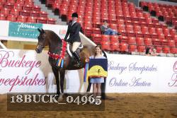 18BUCK_04965 proof