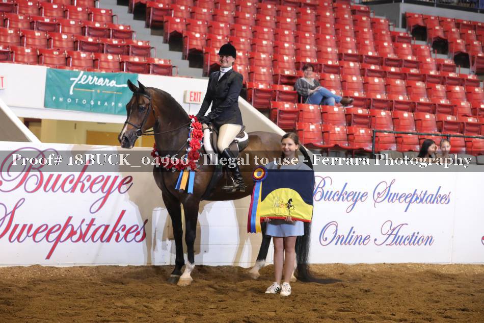 Proof 18BUCK_04966
