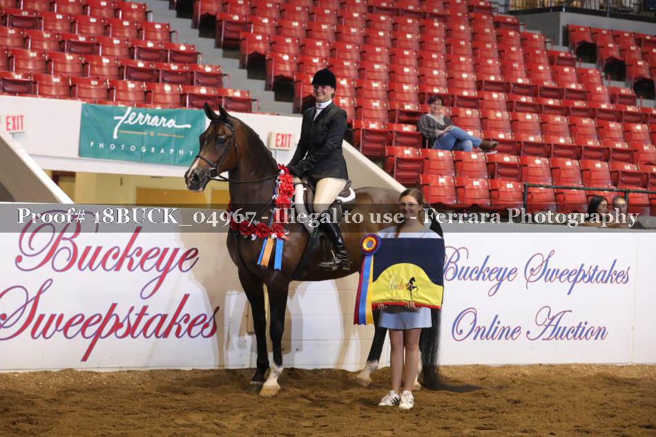 Proof 18BUCK_04967