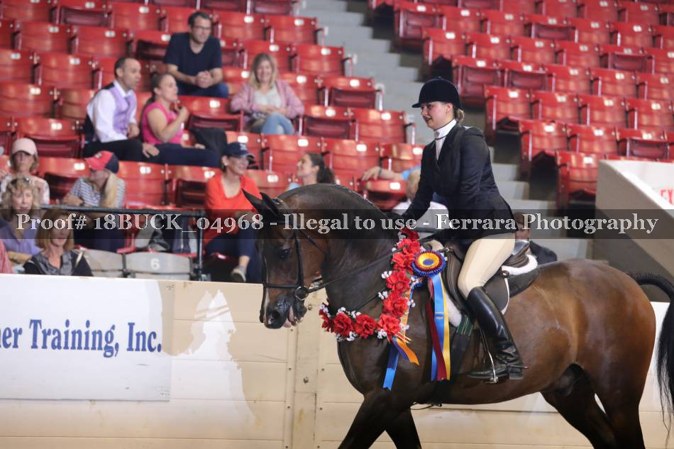 Proof 18BUCK_04968
