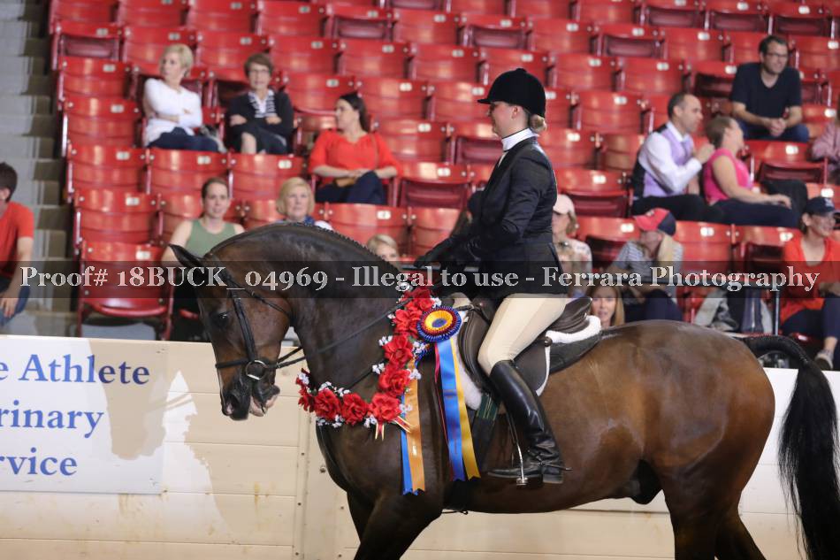 Proof 18BUCK_04969